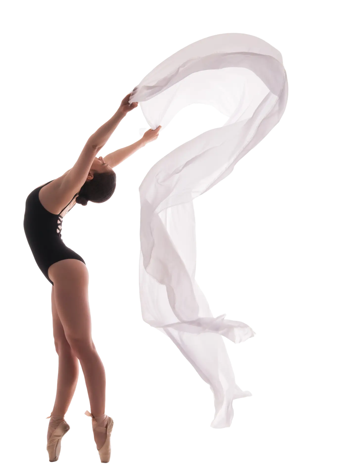 ballerine avec un voile